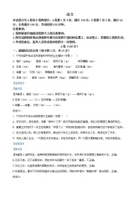 2022年四川省内江市中考语文真题（解析版）