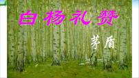 初中语文人教部编版八年级上册14 白杨礼赞课文配套课件ppt