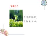 人教部编八年级语文上册《永久的生命》课件