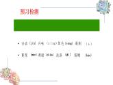 人教部编八年级语文上册《永久的生命》课件