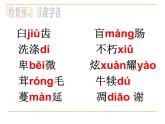 人教部编八年级语文上册《永久的生命》课件