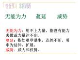 人教部编八年级语文上册《永久的生命》课件