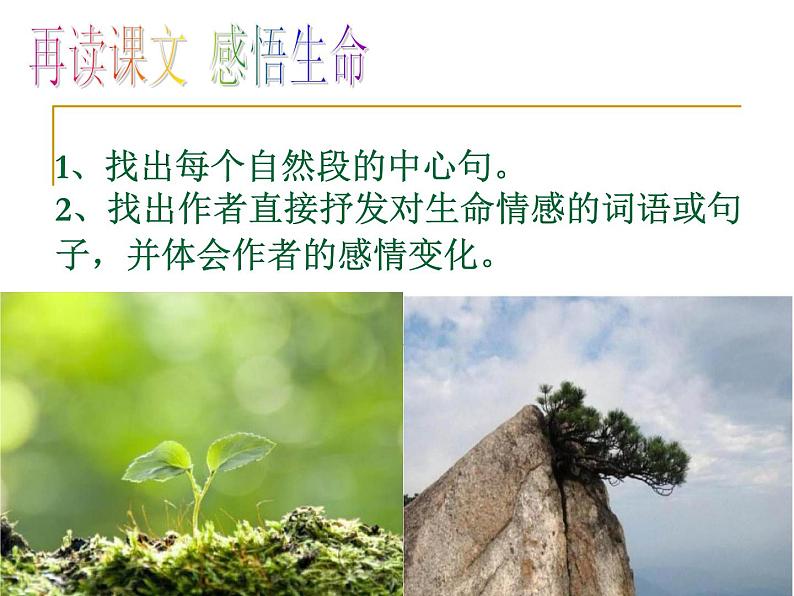 人教部编八年级语文上册《永久的生命》课件08