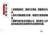 人教部编八年级语文上册《永久的生命》课件