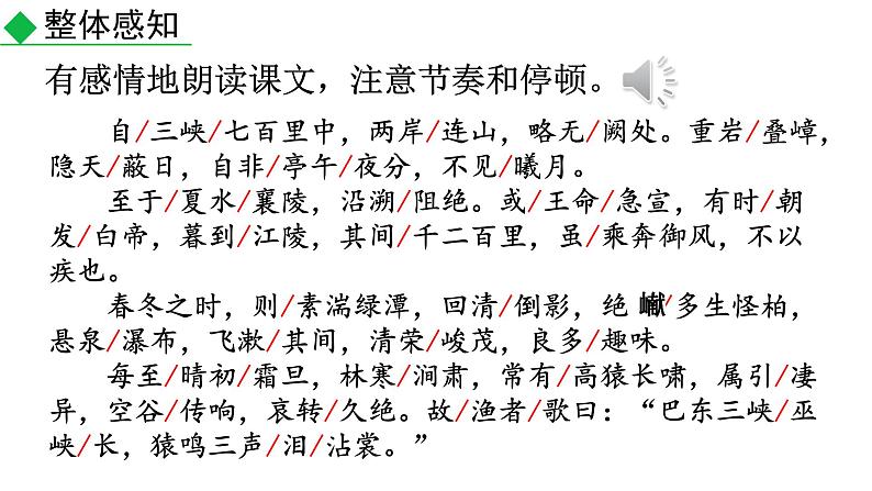 部编版八年级语文上册课件--10《三峡》07