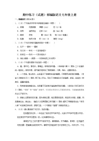 期中练习（试题）部编版语文七年级上册 (2)