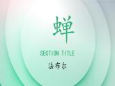 人教部编版八年级语文上册《蝉》 课件