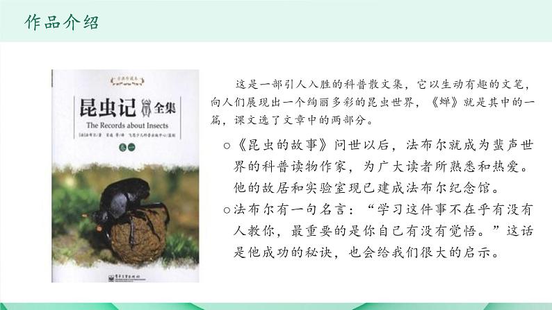 人教部编版八年级语文上册《蝉》 课件05