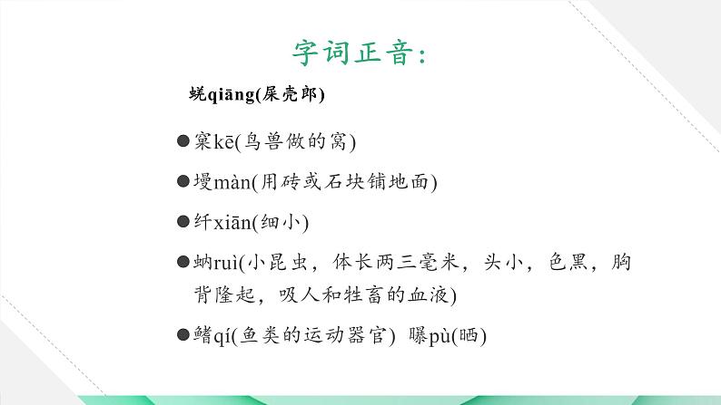 人教部编版八年级语文上册《蝉》 课件07