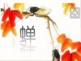 人教部编版八年级语文上册《蝉》教学课件