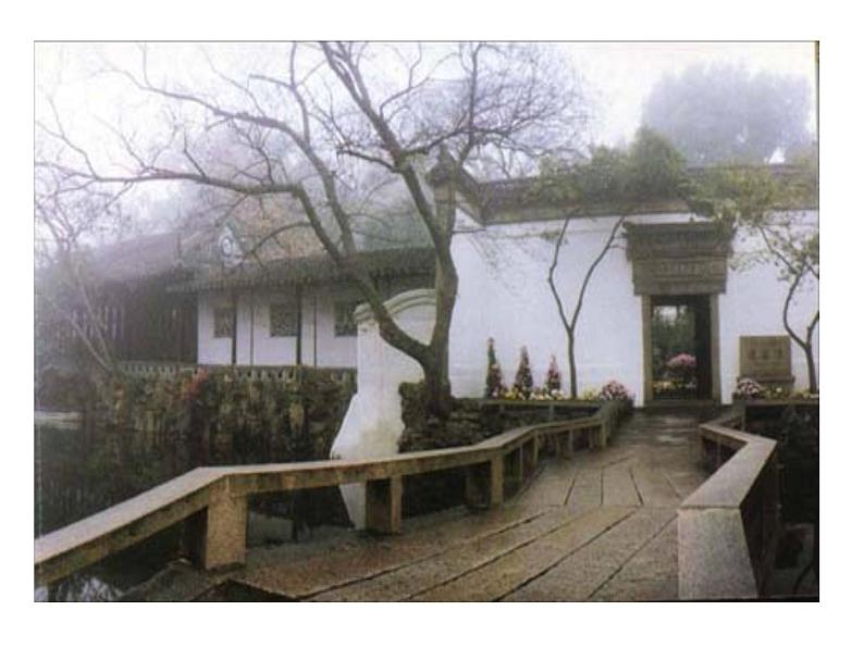 人教部编版八年级语文上册《苏州园林》课件第6页