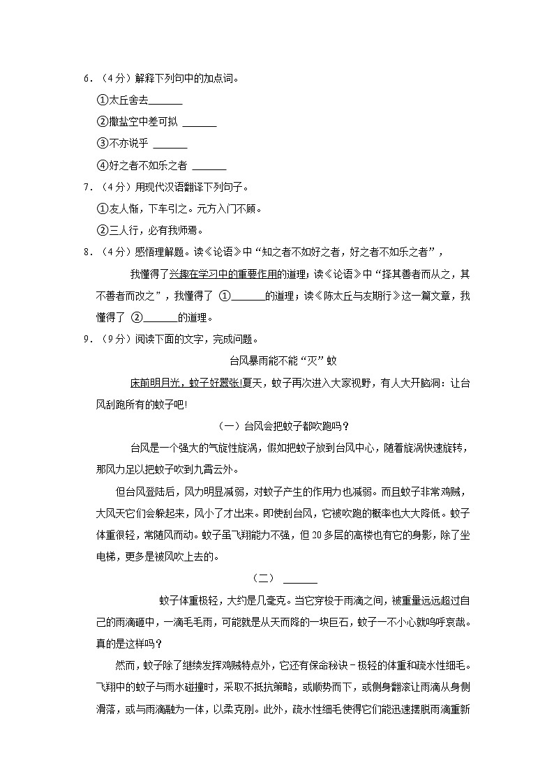 期中练习试题     2022-2023学年部编版语文七年级上册(含答案)03