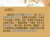 2023学年部编版语文九年级上册10.《精神的三间小屋》PPT课件