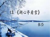 2023学年部编版语文九年级上册13.《湖心亭看雪》PPT课件+教案+习题+知识清单