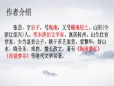 2023学年部编版语文九年级上册13.《湖心亭看雪》PPT课件+教案+习题+知识清单