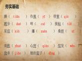 2023学年部编版语文九年级上册23.《范进中举》PPT课件+教案