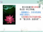 第7课《散文诗二首》课件  2022-2023学年部编版语文七年级上册