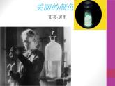 第9课《美丽的颜色》课件 2022-2023学年部编版语文八年级上册