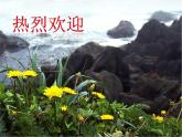 第11课《答谢中书书》课件2022-2023学年部编版语文八年级上册