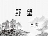 第13课《野望》课件  2022-2023学年部编版语文八年级上册