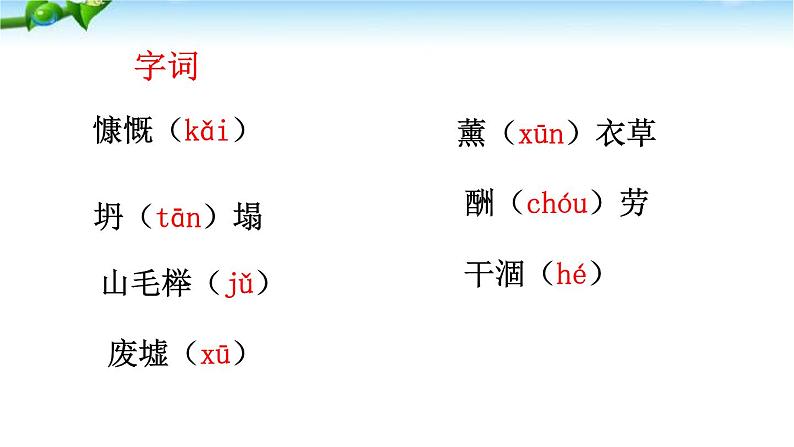第13课《植树的牧羊人》课件 2022—2023学年部编版语文七年级上册07