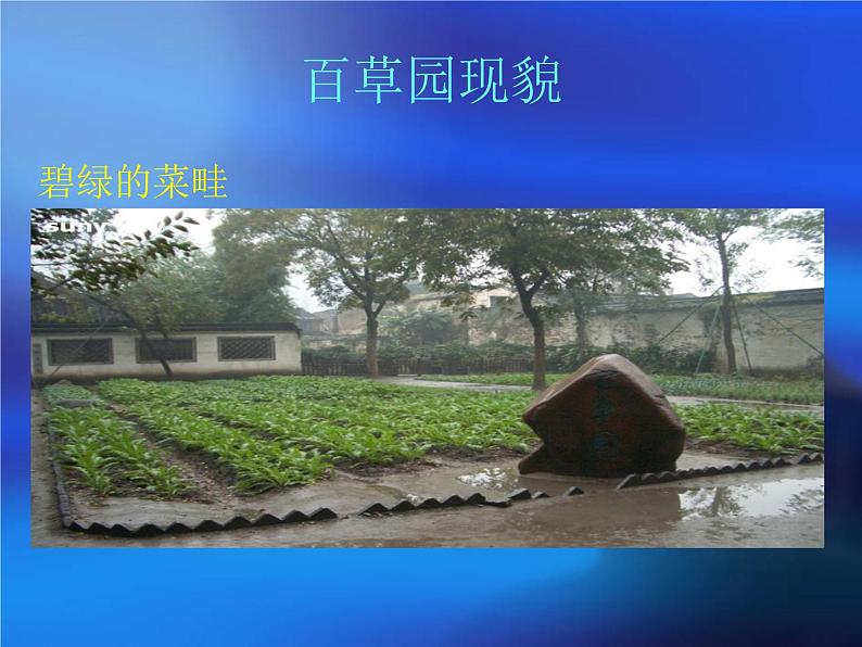 第9课《从百草园到三味书 屋 》课件2022-2023学年部编版语文七年级上册07