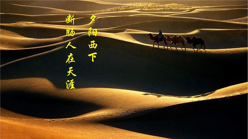 人教部编版七年级语文上册《天净沙·秋思》课件08