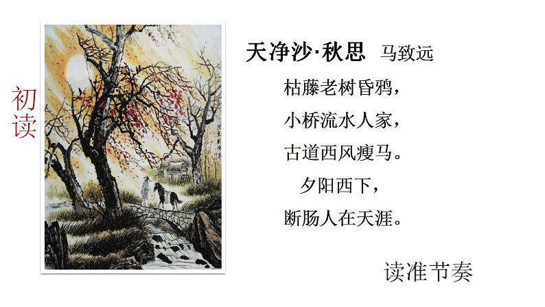 人教部编版七年级语文上册《天净沙 秋思》课件03