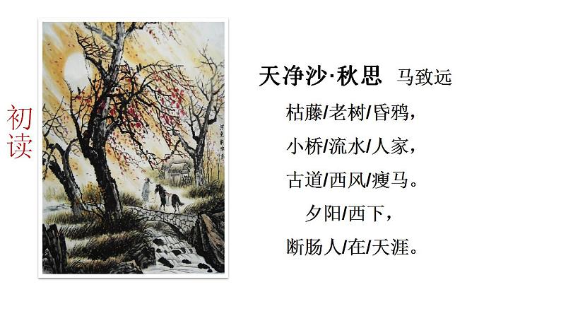 人教部编版七年级语文上册《天净沙 秋思》课件04
