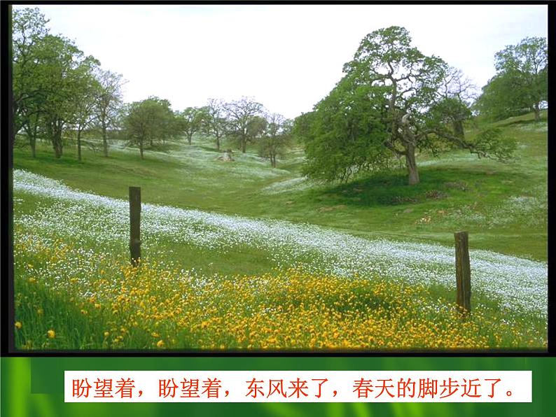 初中语文统编版（部编版）七年级上册第一单元1 春课件04