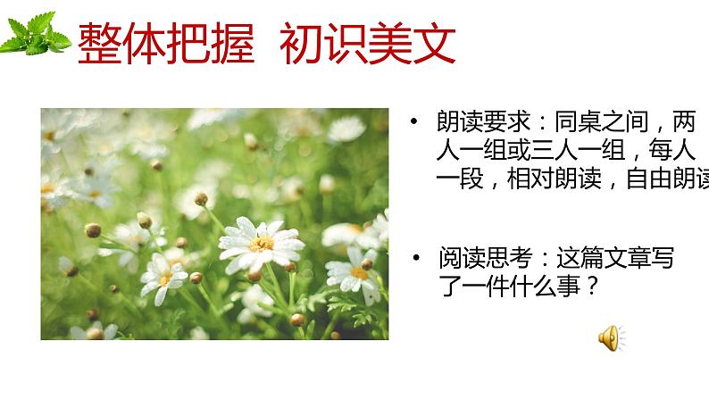 人教部编版七年级上册《散步》教学课件第4页