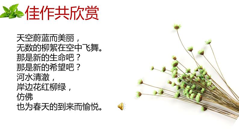 人教部编版七年级上册《散步》教学课件第6页
