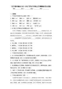 辽宁省兴城市2021-2022学年八年级上学期期末语文试题(含答案)