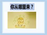 人教部编版七年级上册《女娲造人》课件
