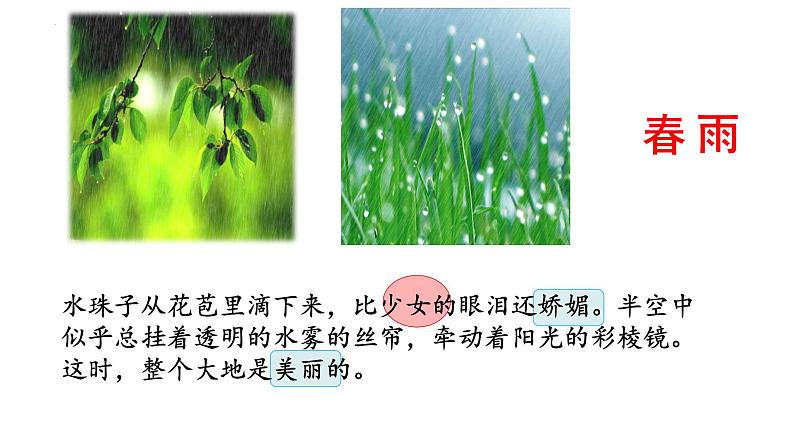 第3课《雨的四季》课件（PPT） 2022—2023学年部编版语文七年级上册05