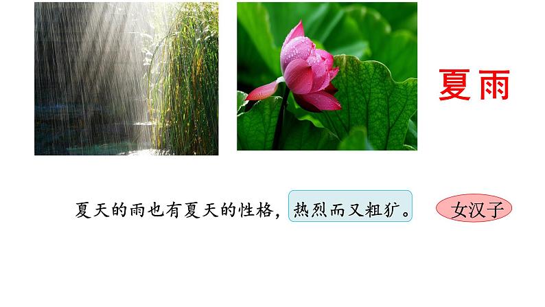 第3课《雨的四季》课件（PPT） 2022—2023学年部编版语文七年级上册06