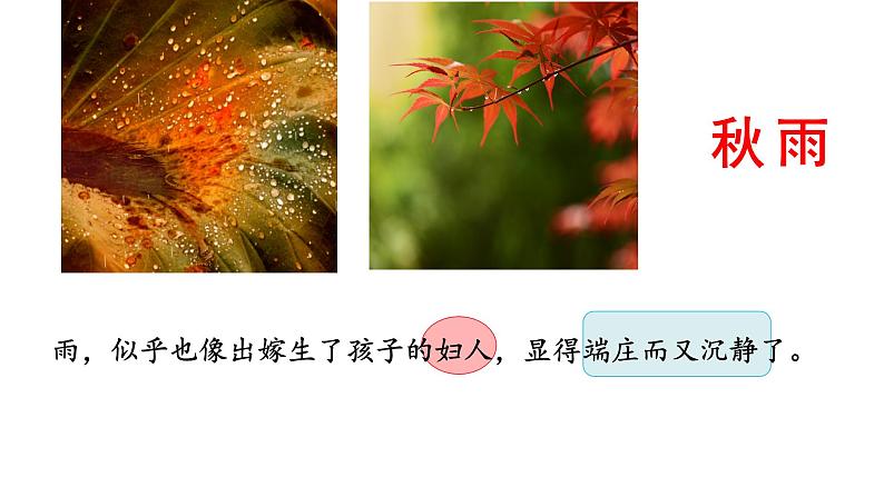 第3课《雨的四季》课件（PPT） 2022—2023学年部编版语文七年级上册07