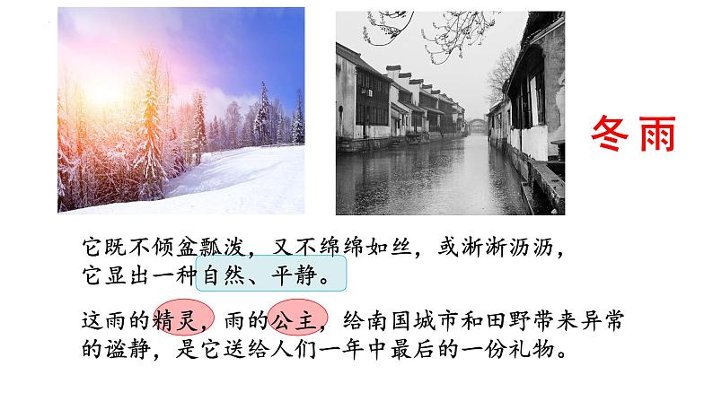 第3课《雨的四季》课件（PPT） 2022—2023学年部编版语文七年级上册08