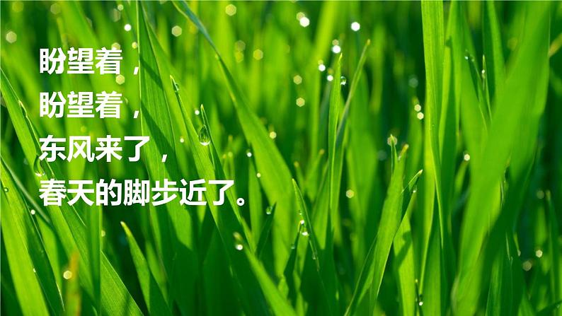 人教部编版六年级上册《盼》课件01