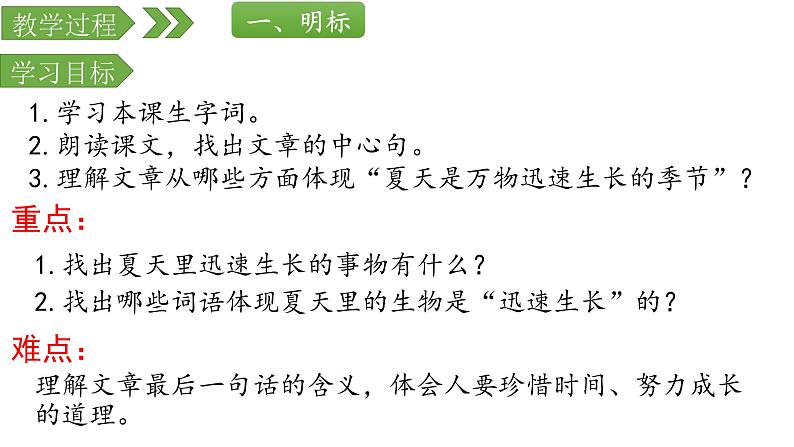 人教部编版六年级上册《夏天里的成长》教学课件03