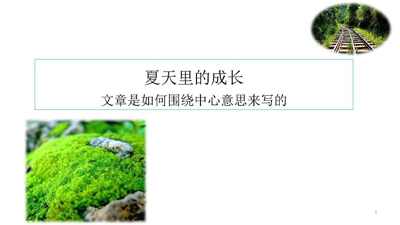 人教部编版六年级上册《夏天里的成长》课件01