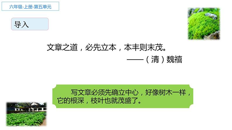 人教部编版六年级上册《夏天里的成长》课件02