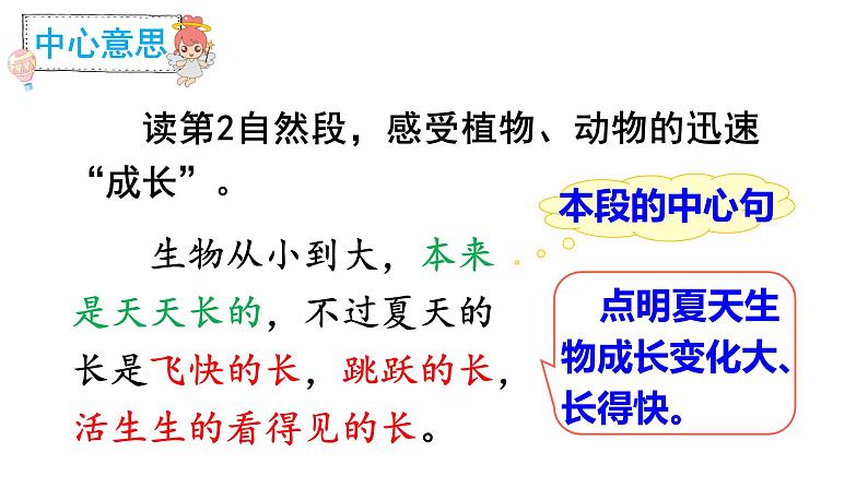 人教部编版六年级上册《夏天里的成长》课件06