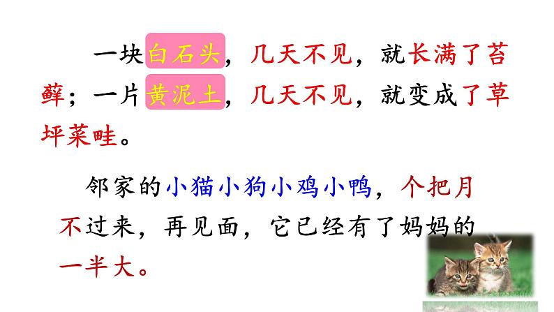 人教部编版六年级上册《夏天里的成长》课件08