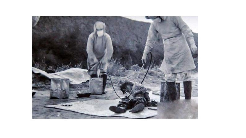 人教部编版六年级上册《在柏林》课件05