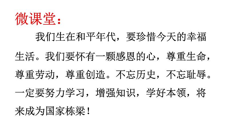 人教部编版六年级上册《在柏林》课件08