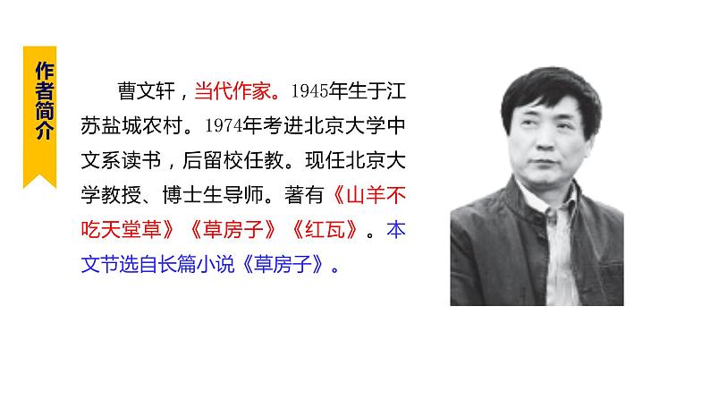 部编版九年级语文上册--17.孤独之旅（精品课件）06