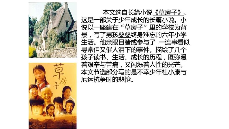 部编版九年级语文上册--17.孤独之旅（精品课件）07