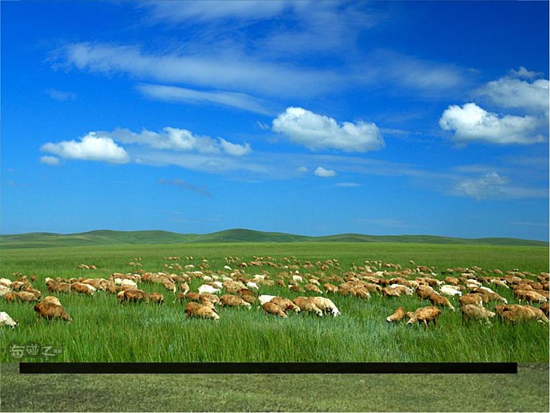 部编版六年级语文上册《草原》教学课件03