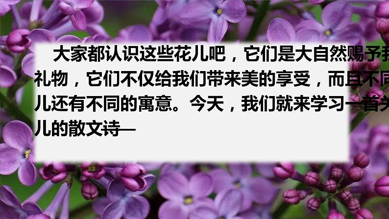部编版六年级语文上册《花之歌》课件第1页